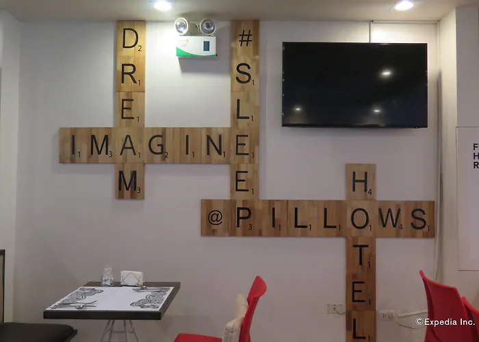 Hotel Pillows